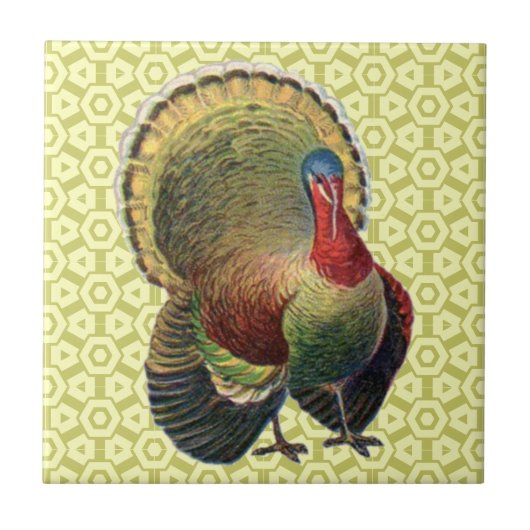 Carreau de céramique vintage de la Turquie de (Devant)