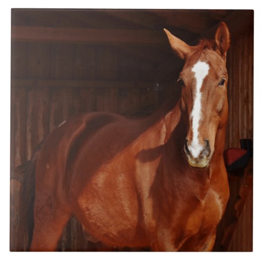 carreau de cheval de grange (Devant)