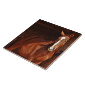 carreau de cheval de grange (Côté)