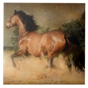 carreau de cheval sauvage