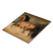 carreau de cheval sauvage (Côté)