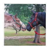 Carreau de Chevaux (Devant)