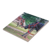 Carreau de Chevaux (Côté)