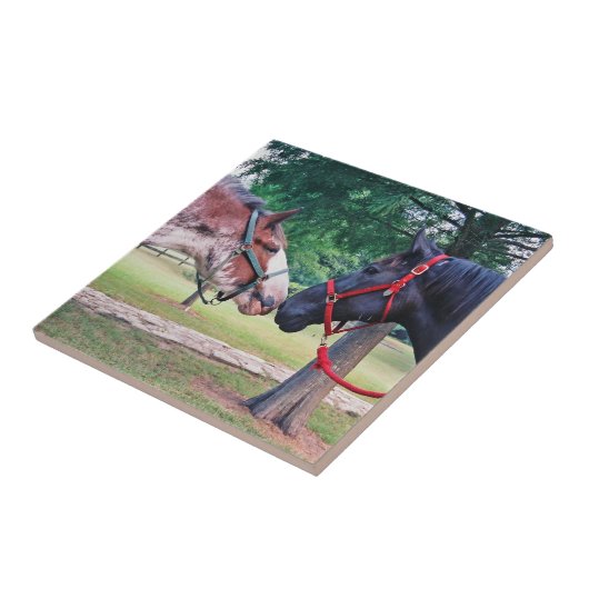 Carreau de Chevaux (Côté)