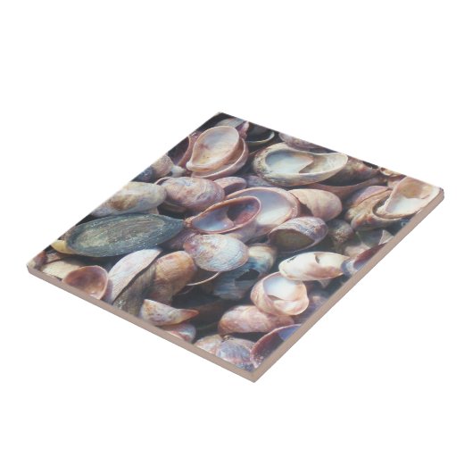 Carreau de coque (Côté)