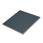 Carreau de couleur unie gris cendre foncé (Côté)