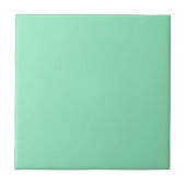 Carreau de couleur vert menthe Seafoam (Devant)