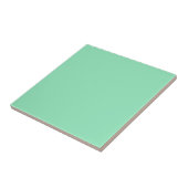 Carreau de couleur vert menthe Seafoam (Côté)