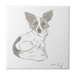 Carreau de croquis Papillon