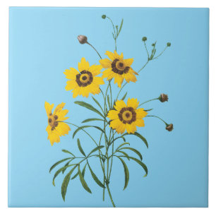 Carreau de fleur de Coreopsis Redoute