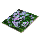 Carreau de fleur de dianthus blanc (Côté)