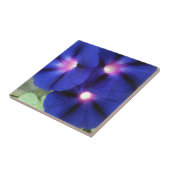 Carreau de fleur de gloire du matin (Côté)