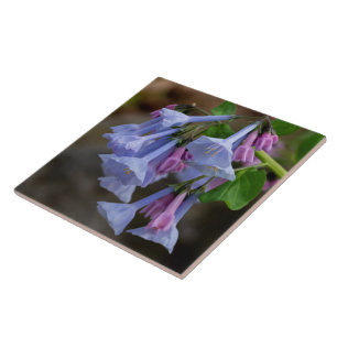 Carreau de Fleur sauvage de Virginia Bluebells