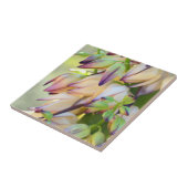 carreau de fleurs de yucca (Côté)