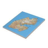 Carreau de la carte de Djibouti (Côté)