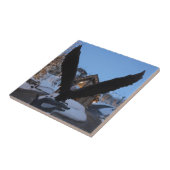 Carreau de la statue de l'aigle chauve américain (Côté)