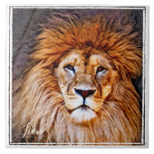 Carreau de lion (Devant)