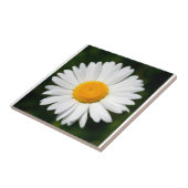 carreau de marguerite (Côté)