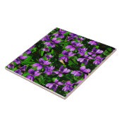 Carreau de mosaïque de la violette de bois, fleur (Côté)