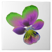 Carreau de Pensée Violet et Vert (Devant)