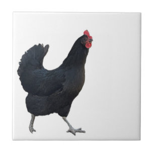 Carreau de photo de poulet