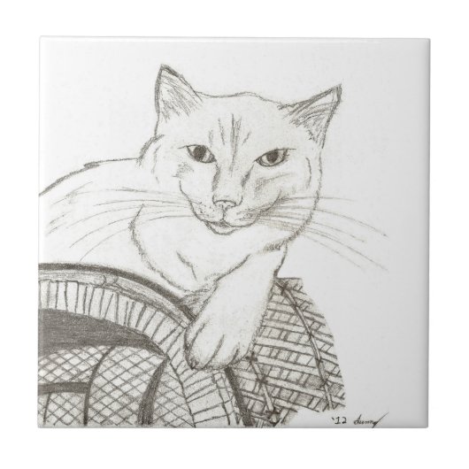 Carreau de portrait de chat Ragdoll (Devant)