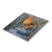 Carreau de poulet (Côté)