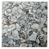 Carreau de rivage Coquilles côtières (Devant)