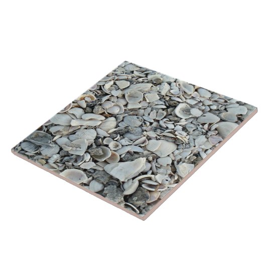 Carreau de rivage Coquilles côtières (Côté)
