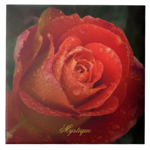 Carreau de Rose Orange Rouge Botanique Sombre Myst