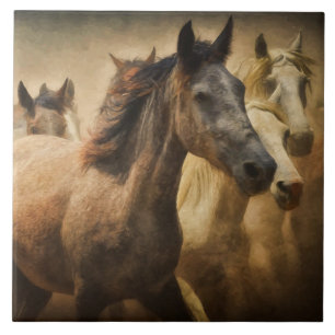 carreau de ruée de chevaux