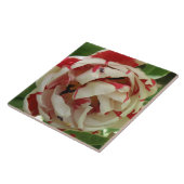 Carreau de tulipe rose et blanc (Côté)
