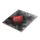 Carreau de tulipe rouge (Côté)