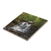 carreau de Wagner Falls (Côté)