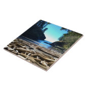 Carreau Dead Man's Cove, Cape Disdéception, WA (Côté)