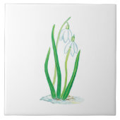Carreau Début du printemps (Devant)