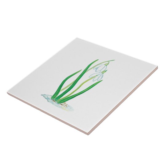 Carreau Début du printemps (Côté)