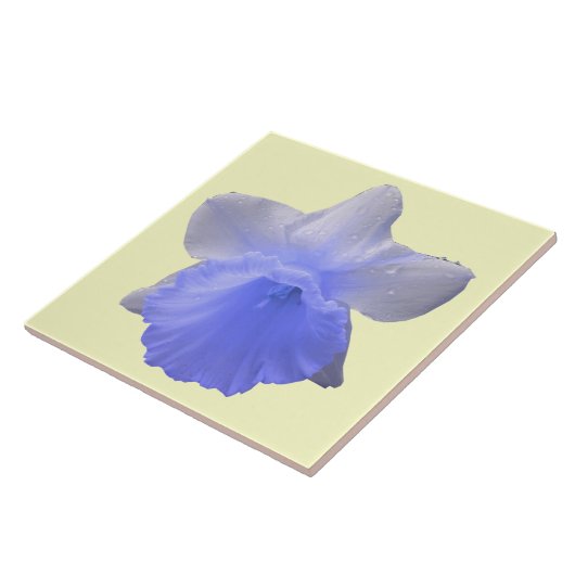 Carreau Déchets Daffodil Carrelage Bleu (Côté)