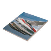 Carreau Décollage d'un plan de mer à Victoria Falls, Zimba (Côté)