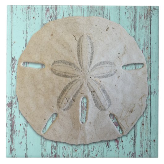 Carreau Décor de dollar de sable esthétique de plage (Devant)
