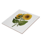 Carreau Décor rustique de tournesol (Côté)