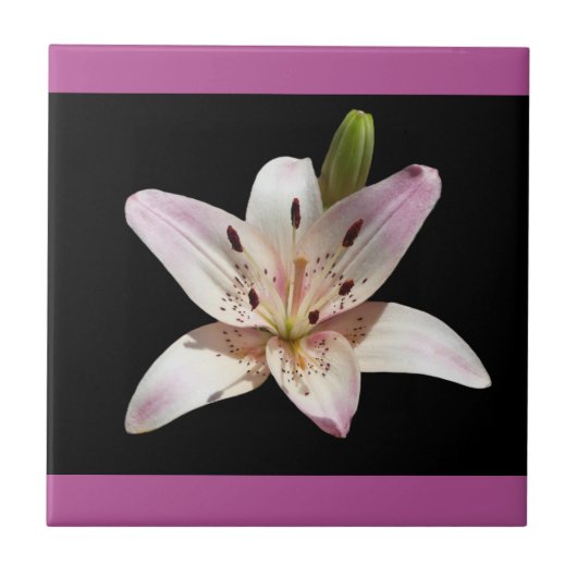 Carreau décoratif Lily ouvert (Devant)