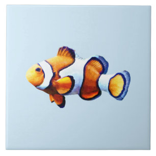 Carreau Découpe de poisson clown