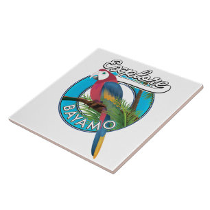 Carreau Découvrez le logo rétro Hawaii Carrelage en cérami