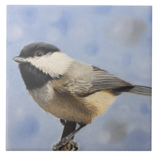 Carreau Dee de dee de Chickadee (Devant)