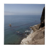 Carreau dehors (Devant)