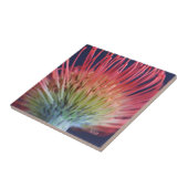 CARREAU DEKO FLIESE "PROTEA" (Côté)