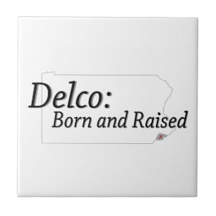 Carreau Delco Né et élevé