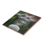 Carreau Delicate Dandelion Seeds  (Côté)