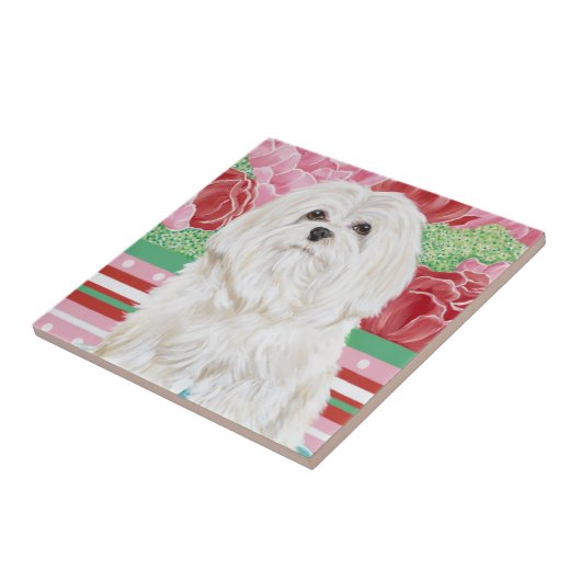 Carreau Della Rose Maltese (Côté)